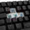 Ducky One 2 Pro Mini, PBT, schwarz, LEDs RGB, MX RGB BLUE, USB, DE Vorschaubild