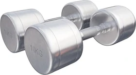 Gorilla Sports Chrom Kurzhantel Set 2x 10kg