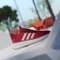 adidas X_PLR Path collegiate red/cloud white/collegiate burgundy (Herren) Vorschaubild