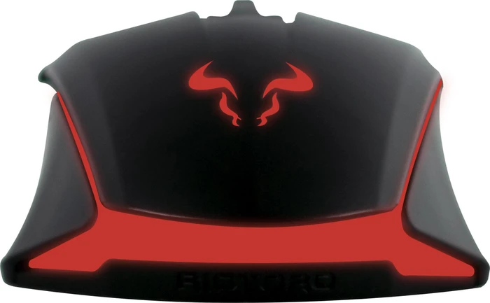 Riotoro Aurox Prism RGB, schwarz, USB