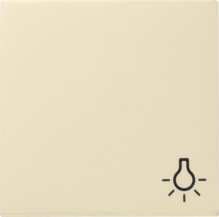 Gira Wippe mit Symbol Licht 0285