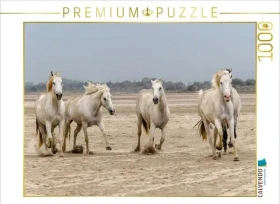 Calvendo Ein Motiv aus dem Kalender Die wilden Pferde der Camargue