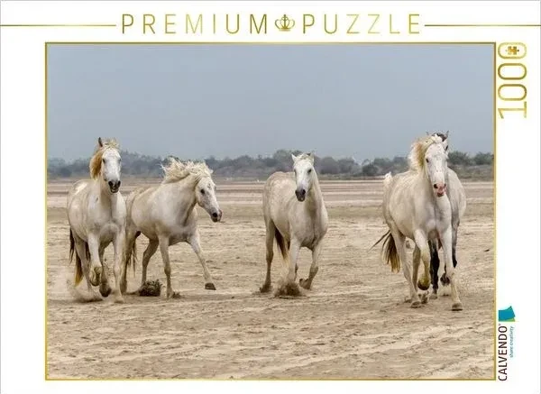 Calvendo Ein Motiv aus dem Kalender Die wilden Pferde der Camargue