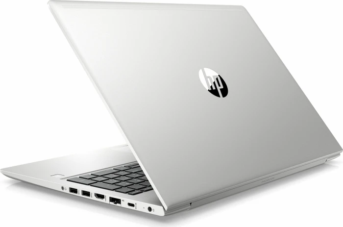 HP ProBook 455 G7, Pike Silver, Ryzen 5 4500U, 8GB RAM, 512GB SSD, DE