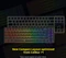Drevo Calibur V2 TE PC/Mac, LEDs RGB, schwarz, Gaote Outemu BROWN, USB, DE Vorschaubild