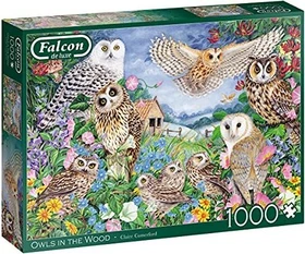 Jumbo Falcon Owls in the Wood