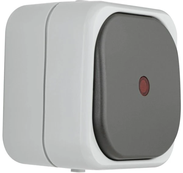 REV Ritter AquaTop Kontroll-Wechselschalter AP IP 44, grau