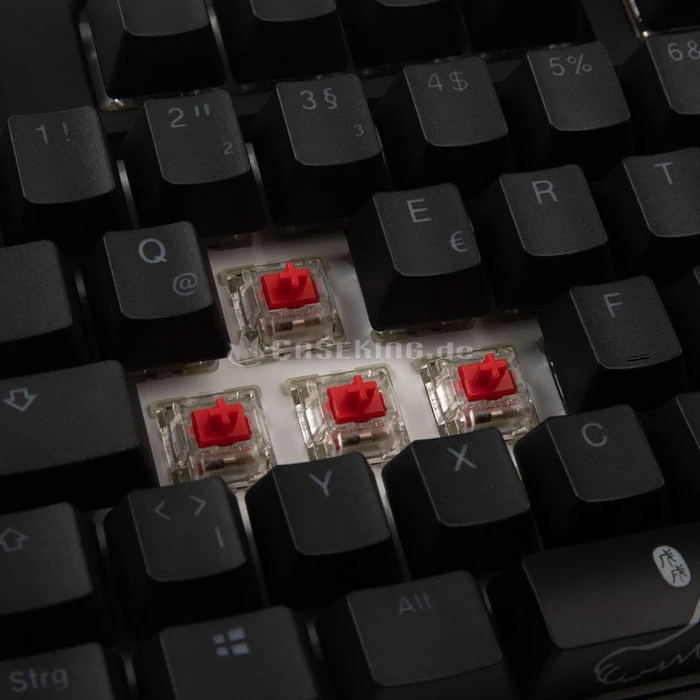 Ducky One 2 RGB TKL PBT, LEDs RGB, schwarz, MX RGB RED, USB, DE
