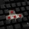 Ducky One 2 RGB TKL PBT, LEDs RGB, schwarz, MX RGB RED, USB, DE Vorschaubild