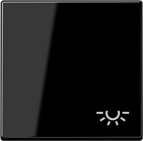 Jung Serie A Wippe mit Symbol Licht, schwarz