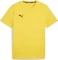 Puma teamGOAL Casuals Funktionsshirt kurzarm (Herren) Vorschaubild