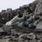 adidas Terrex AX4 linen green/grey four/grey six (Damen) Vorschaubild