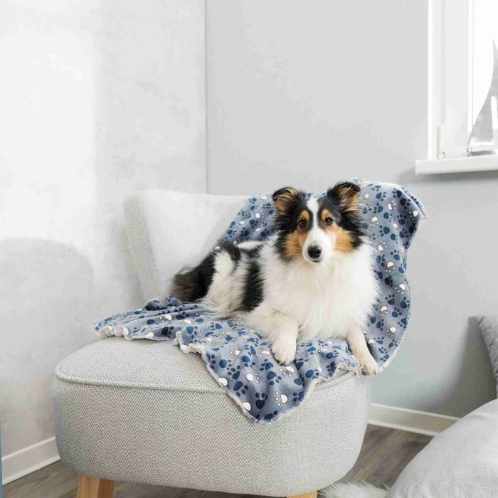 Trixie Decke Tammy, 100x70cm, blau/beige