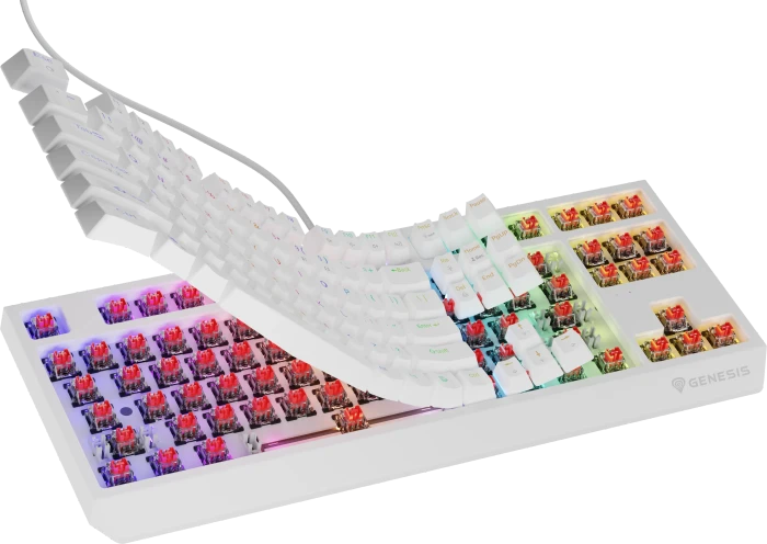 Genesis Thor 230 TKL, weiß, LEDs RGB, hot-swap, Gaote Outemu BROWN, USB, US