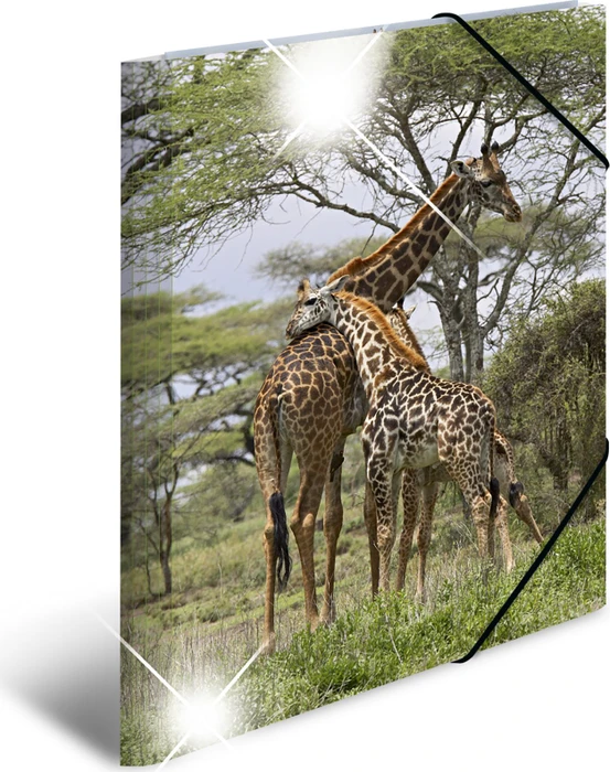 Herma Glossy Tiere Sammelmappe, A3, Giraffe