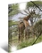 Herma Glossy Tiere Sammelmappe, A3, Giraffe Vorschaubild