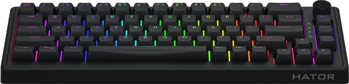 Hator Skyfall 65 Wired, schwarz, LEDs RGB, Aurum Sterling, USB, US
