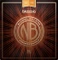 D'Addario Nickel Bronze Light Top / Medium Bottom Vorschaubild
