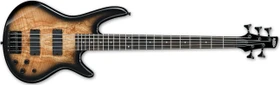 Ibanez GSR205SM NGT Natural Gray Burst