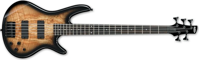 Ibanez GSR205SM NGT Natural Gray Burst
