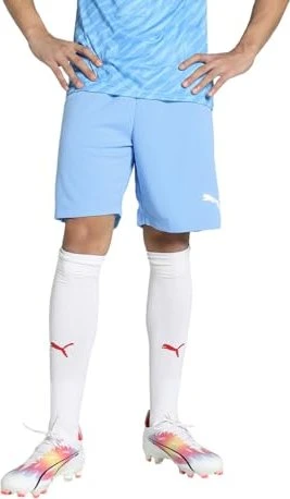 Puma TeamRISE Shorts Hose kurz (Herren)