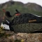 adidas Terrex Free Hiker 2.0 Low GTX olive strata/core black/carbon (Herren) Vorschaubild