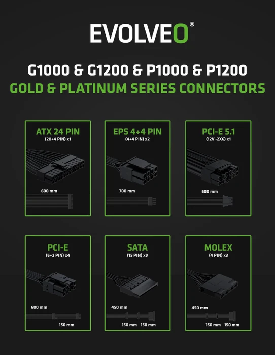 Evolveo Gold Series G1000 schwarz 1000W, ATX 3.1