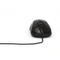 Esperanza Titanum Hornet schwarz, USB Vorschaubild