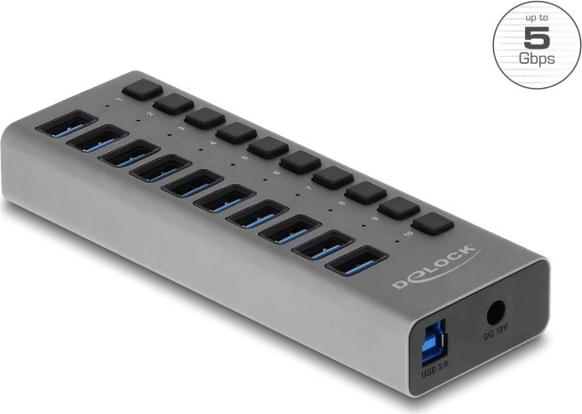 DeLOCK USB-Hub, 10x USB-A 3.0, USB-B 3.0 [Buchse]