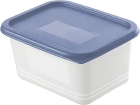Rotho Domino Gefrierdose Aufbewahrungsbehälter 750ml horizontblau, 4 Stück