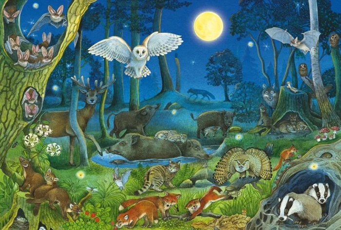 Schmidt Spiele Tiere nachts im Wald (56529) – Bild 2 von 2