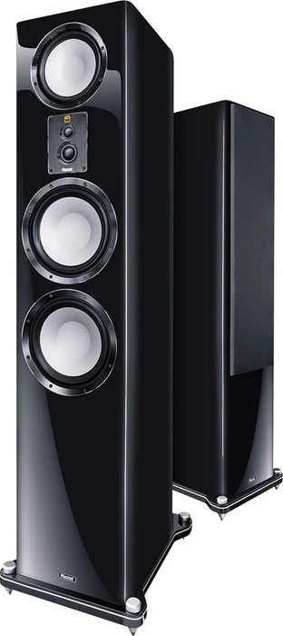 Magnat Signature 909 schwarz, Stück