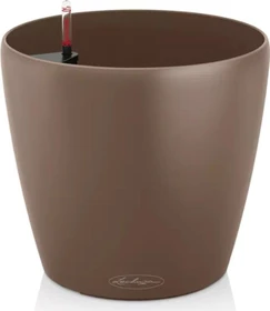 Lechuza Classico Color 28 muskat