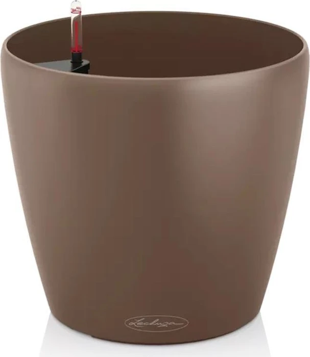 Lechuza Classico Color 28 muskat