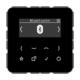 Jung Serie CD Smart Radio DAB+ Bluetooth, schwarz