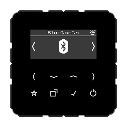 Jung Smart Radio DAB+ Bluetooth