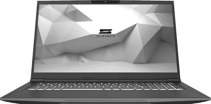 Schenker Media 17-E20fxp E20fxp, Core i7-10750H, 16GB RAM, 1TB SSD, GeForce RTX 2060, DE
