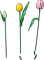 LEGO Botanicals - Tulpenstrauß Vorschaubild