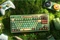 8BitDo Retro 87 Mechanical Keyboard, Forest Wonder, grün, Core Green Tactile, USB/Bluetooth, US Vorschaubild