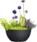 Scheurich Barceo Bowl 40cm Vorschaubild