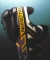 Salomon Speedcross 6 GTX transparent yellow/black (Herren) Vorschaubild