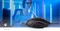 Nedis Gaming Mouse 7200dpi, schwarz, USB Vorschaubild