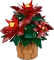 LEGO Botanicals - Weihnachtsstern Vorschaubild