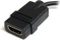 StarTech HDMI [Buchse] auf Micro-HDMI [Stecker] Adapter Vorschaubild