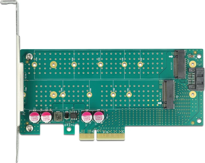 DeLOCK PCIe -> M.2 PCIe, SATA -> M.2 SATA, PCIe 4.0 x4 -- 1x SATA, 2x M.2, PCIe 4.0 x4