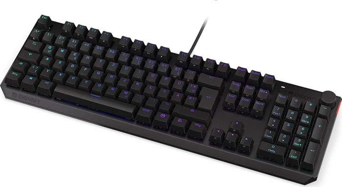 Endorfy Thock, PBT, LEDs RGB, Kailh RED, USB, DE