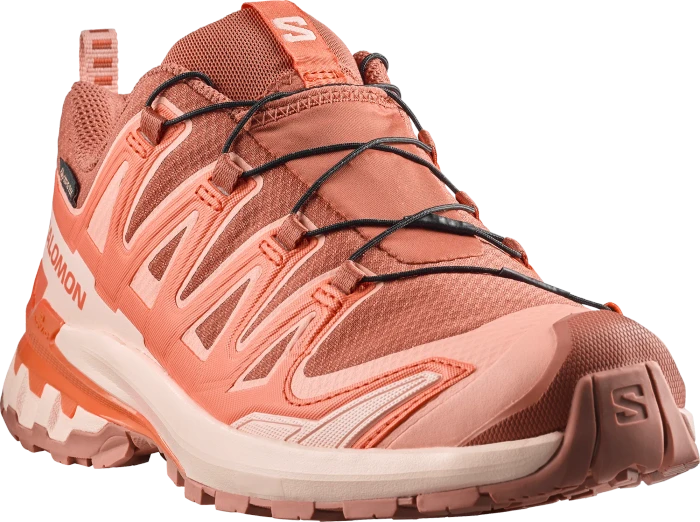 Salomon XA Pro 3D V9 GTX pecan brown/nectarine/almond cream (Damen)