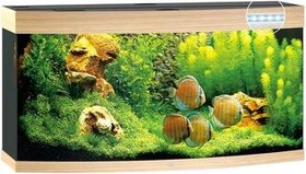 Juwel Vision 260 LED Aquarium-Set, helles Holz, 260l