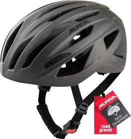 Alpina Path Helm coffee/grey matt