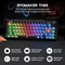 Epomaker TH65 Wireless, schwarz, LEDs RGB, hot-swap, Epomaker Creamy Jade, USB/Bluetooth, US Vorschaubild